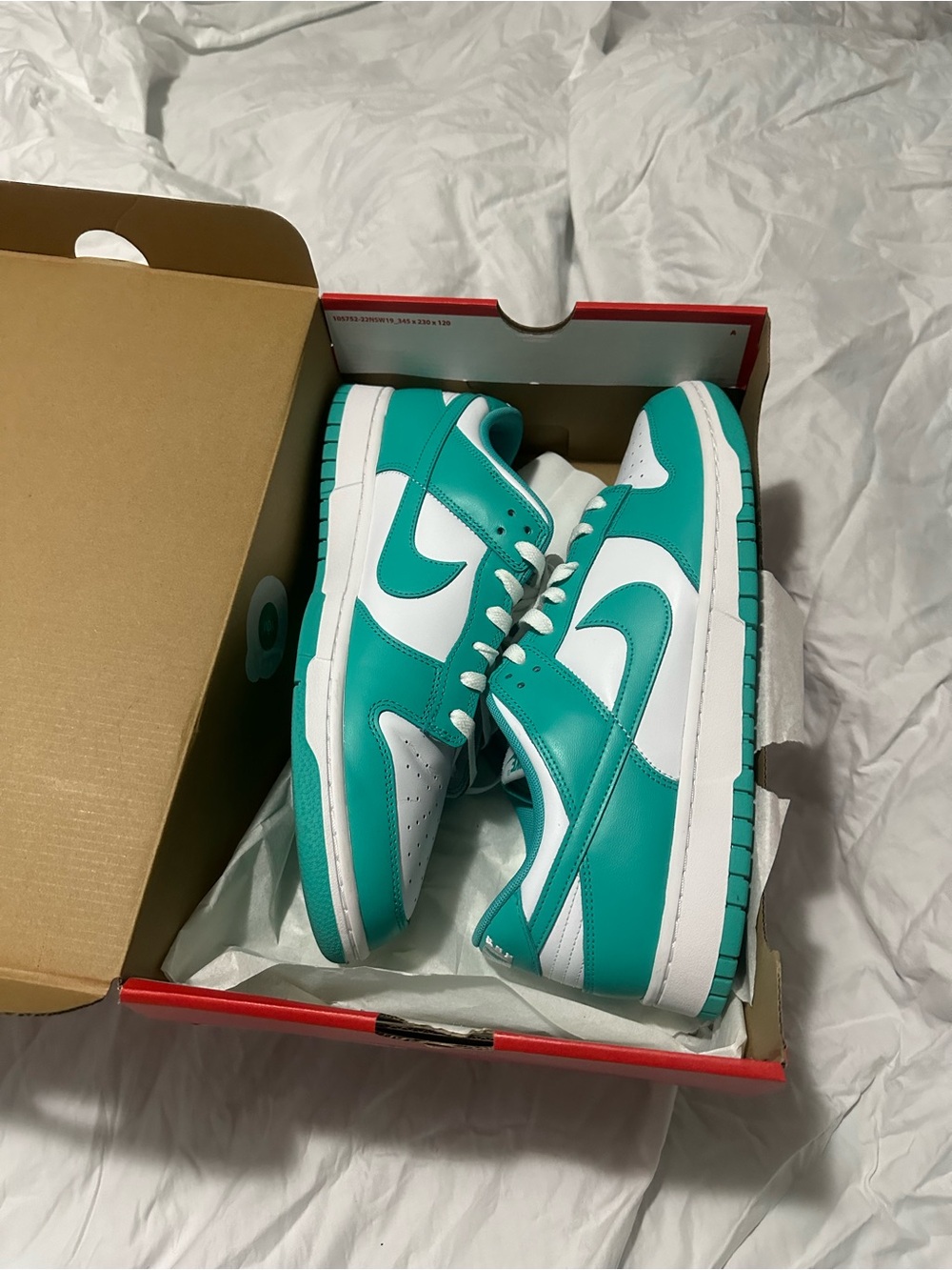 Nike Men’s Low Top Sneakers White Teal